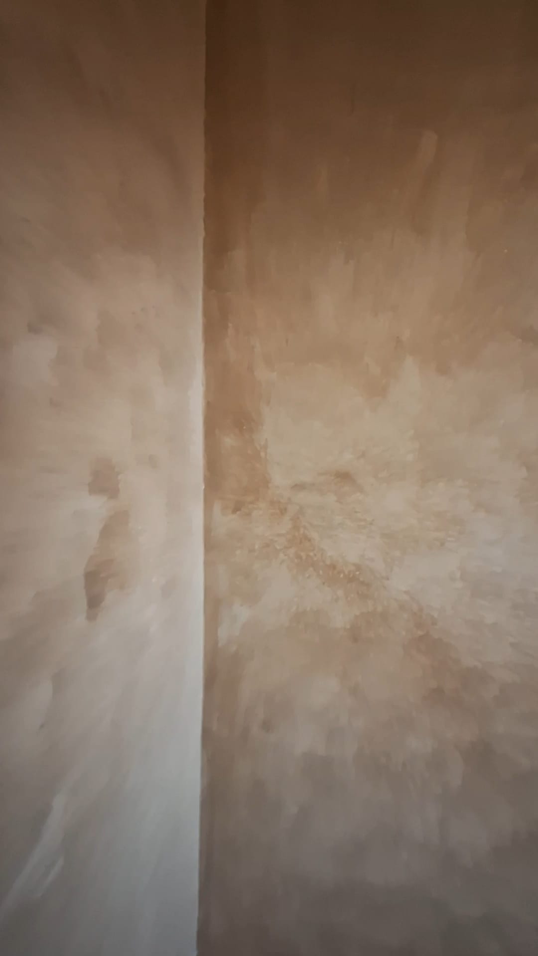 WhatsApp Bild 2025-03-25 um 03.53.03_b8cf62cd